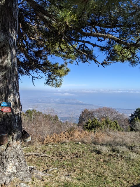 Explore Mount Olympus & Dion: History & Nature Day Trip - Into the Mount Olympus forest