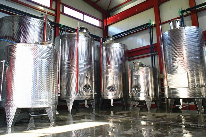 Explore the Secrets of Wine and Olives - Sempronas brings the rough roads