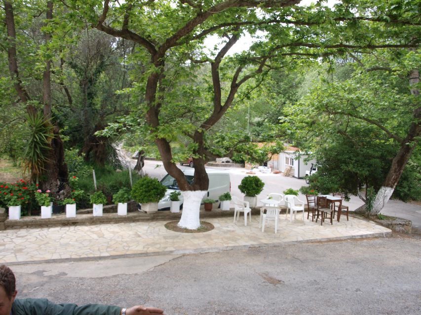 Explore the Secrets of Wine and Olives in Chania - Terra Creta: starting with the olive oil