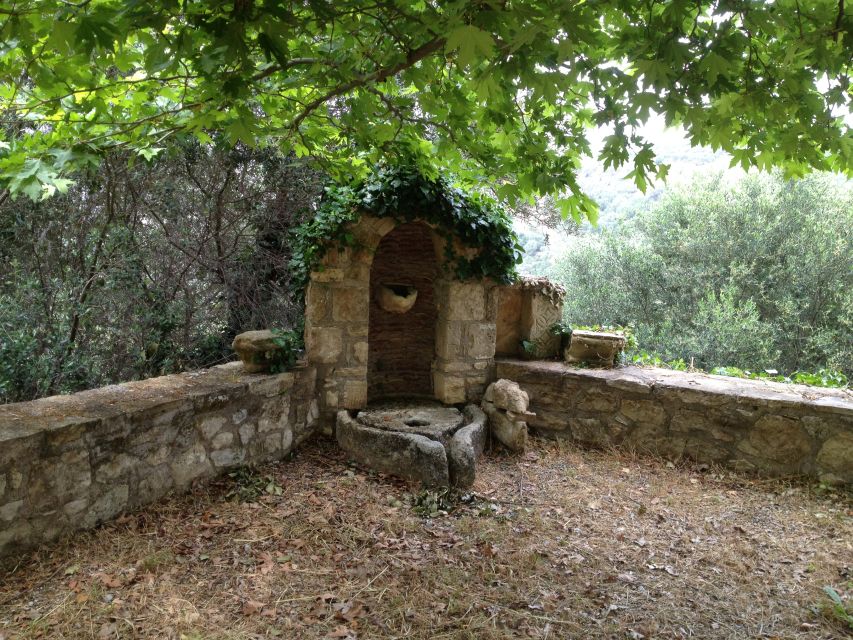 Explore the Secrets of Wine and Olives in Chania - The return ride and the shape of the day