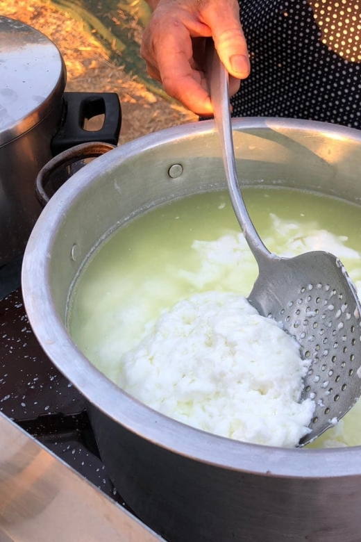 Farm Tour with Cheese-Making, Olive Oil Tasting & Picnic - Learning how Cretan olive oil reaches the bottle