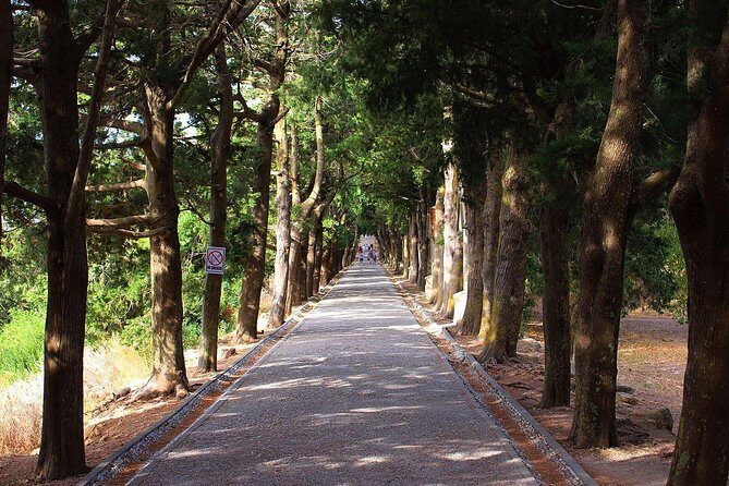 Filerimos Hill & Valley of Butterflies - Who should book this Filerimos + Butterfly Valley day