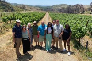 Food & Wine Tour: 11- Course Lunch, Cooking Class, Wine Tasting - Getting There: Pickup, Timing, and What to Expect on the Drive