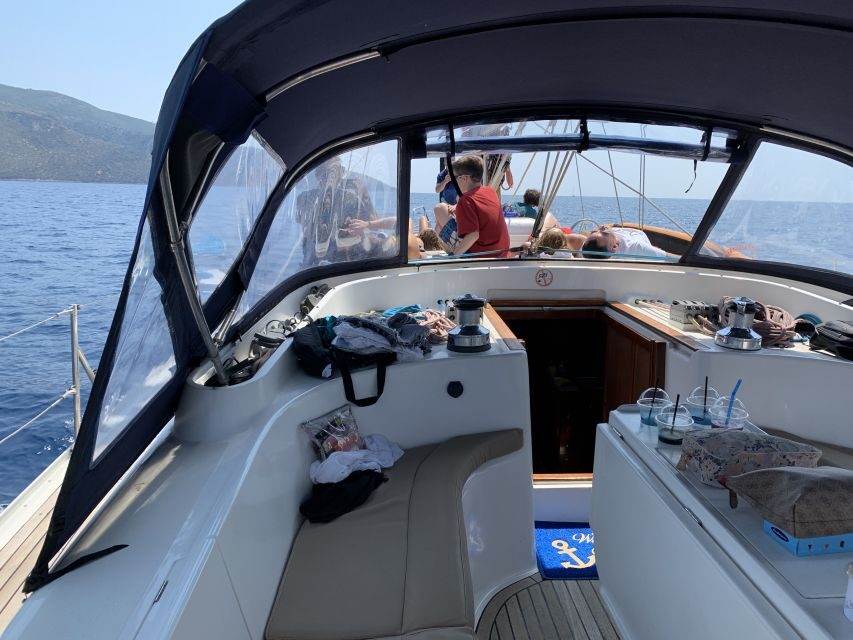 From Agia Efimia: Day Cruise to Ithaki Island with Lunch - Wildlife moments you can hope for (and why the captain matters)