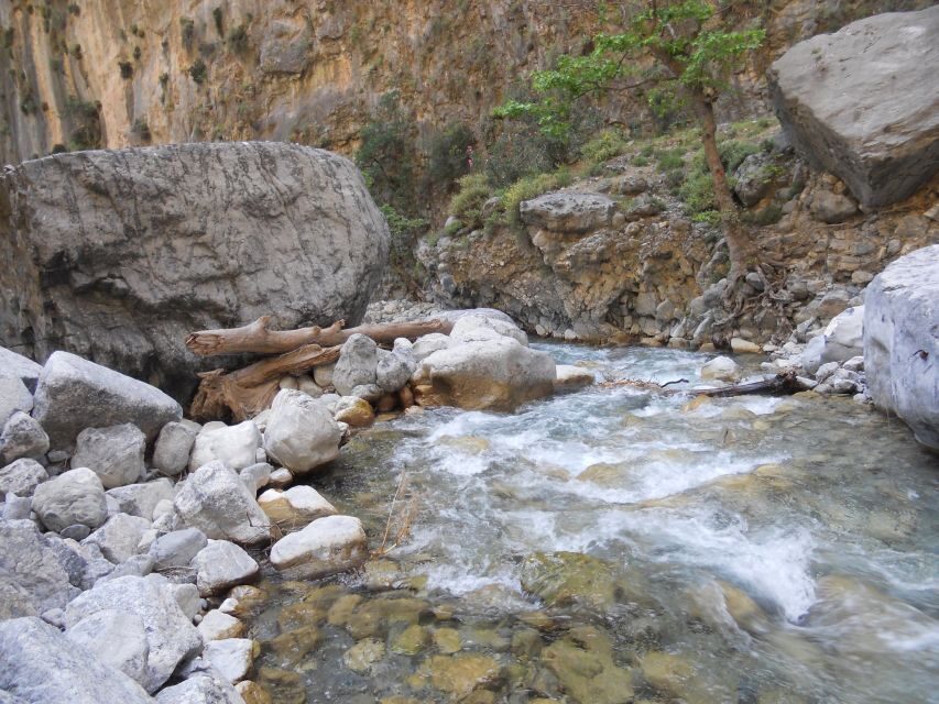 From Agia Galini/Matala: Samaria Gorge Hiking Tour - The Omalos Start: High Altitude, Real Downhill Work