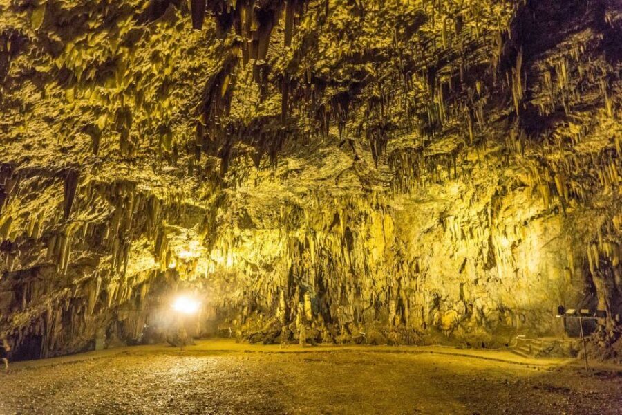 From Argostoli: Kefalonia Shore Excursion Highlights Tour - What a 6-hour tour feels like in real life
