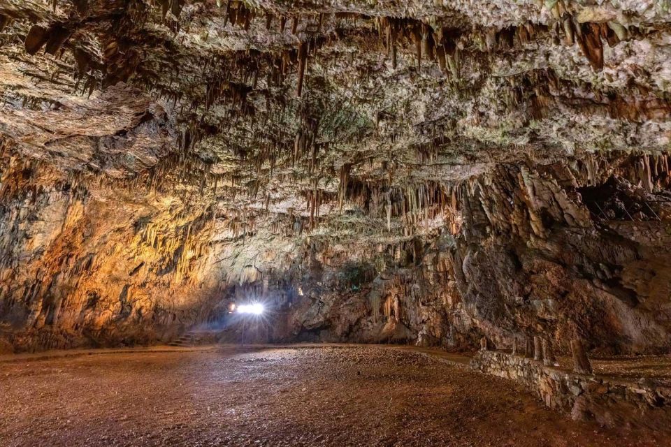 From Argostoli: Melissani & Drogarati Cave Shore Excursion - Key points to know before booking