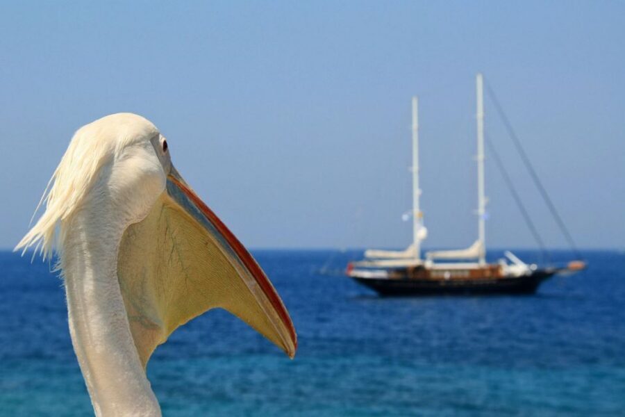 From Athens: 2-Day Santorini and Mykonos Trip - What You Really Get for $583: value, not just sightseeing