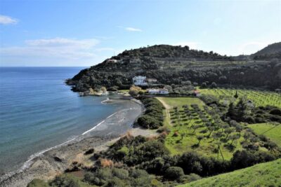 From Athens: Aegina Island E-Bike Tour with Ferry Tickets - A 75-minute ferry crossing to Aegina