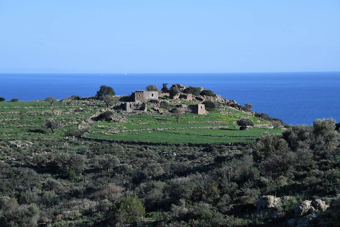 From Athens: Aegina Island E-bike & Walking Day Tour - Aegina Town before the return ferry