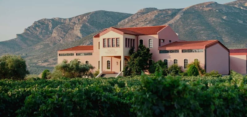 From Athens: Ancient Sparta and Nemea Wine Country Day Trip - Is $259 per person good value?