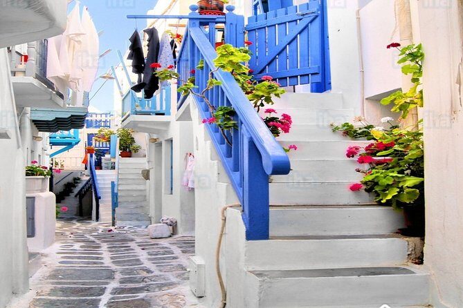 From Athens: Day Tour to Mykonos - Group size and language: great support, sometimes with trade-offs