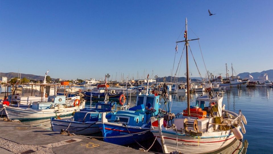 From Athens: Explore Aegina Island by Bike - Pine forest and Agios Nectarios