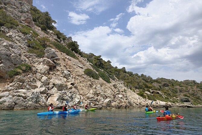 From Athens Half Day Sea Kayak Tour at the Corinthian Gulf - Snorkeling, wildlife, and a well-timed picnic