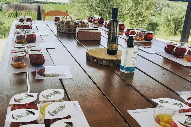 From Athens: Olive Oil Tasting, Olive Grove & Wine Experience - What is included, and what is not