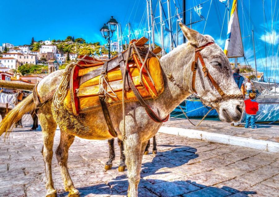 From Athens: Saronic Islands Full-Day Cruise with VIP Seats - Should You Book This VIP Saronic Islands Day Cruise?