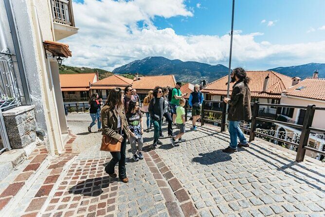 From Athens: Small-Group Delphi, Museum & Arachova Day Trip - Arachova Village Stop: Mountain Views and Easy Food Choices