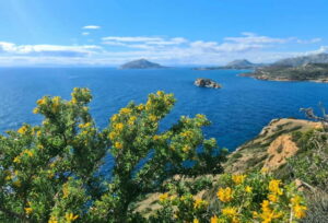 From Athens: Temple of Poseidon & Cape Sounion Half-Day Tour - The Coach Ride From Athens: Coastal Towns, WiFi, and Myth Talk