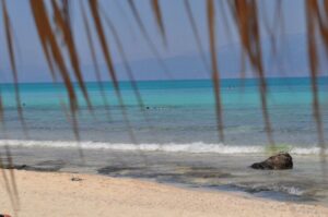 From Chania Area: Day Trip to Elafonisi Island by Bus - White Mountains Foothills: The Drive, the Coffee Stop, and the Slow Build