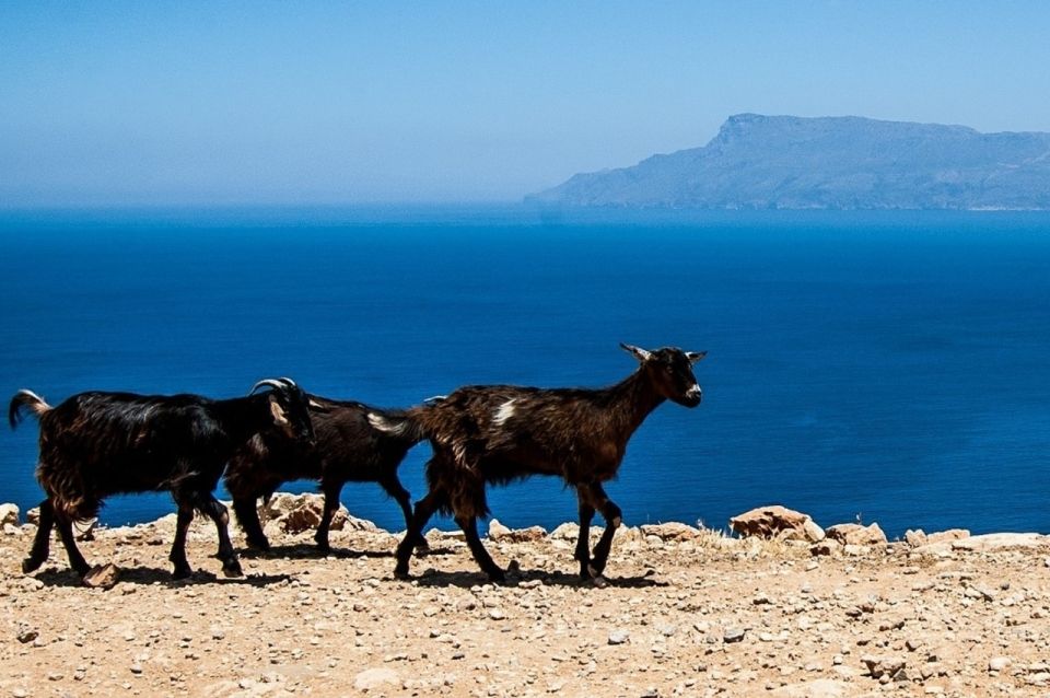 From Chania: Balos Lagoon & Falassarna Private 4WD Road Trip - Is $282 per person good value?