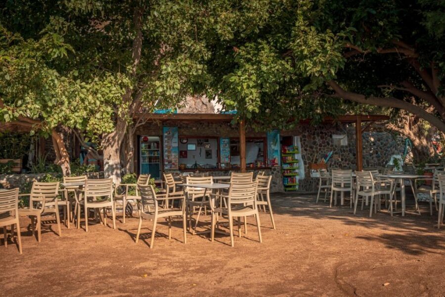 From Chania: Day Trip to Preveli Beach & Damnoni Beach - Key highlights you’ll feel right away