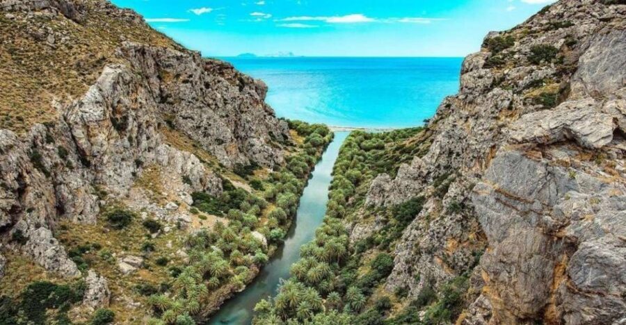 From Chania: Day Trip to Preveli Beach & Damnoni Beach - Preveli Palm Beach: river palms, myth vibes, and swim time