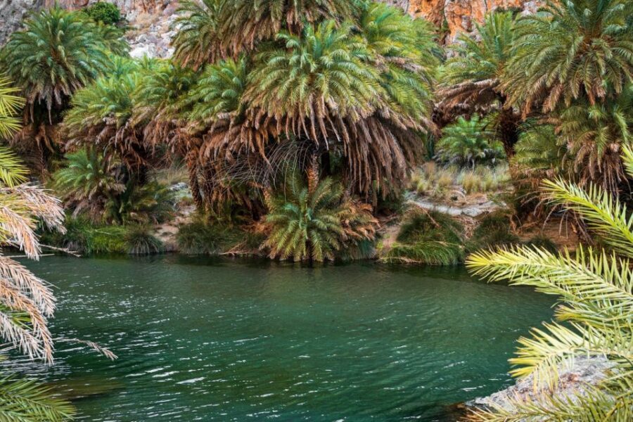 From Chania: Day Trip to Preveli Beach & Damnoni Beach - Price and value: $42 plus the add-ons you should expect