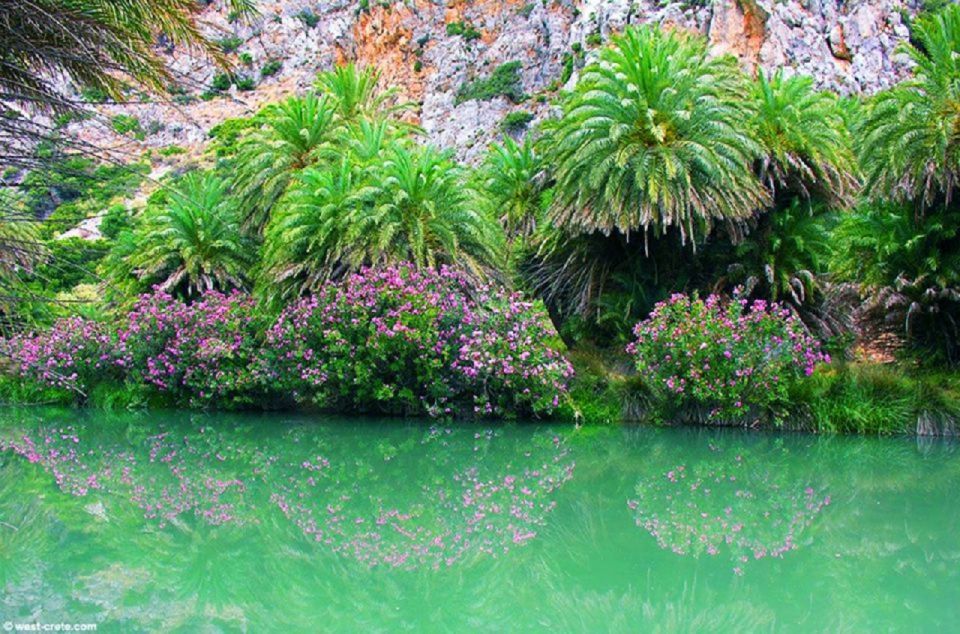 From Chania: Day Trip to Preveli Palm Beach - Lunch, swimming, and the return to Damnoni
