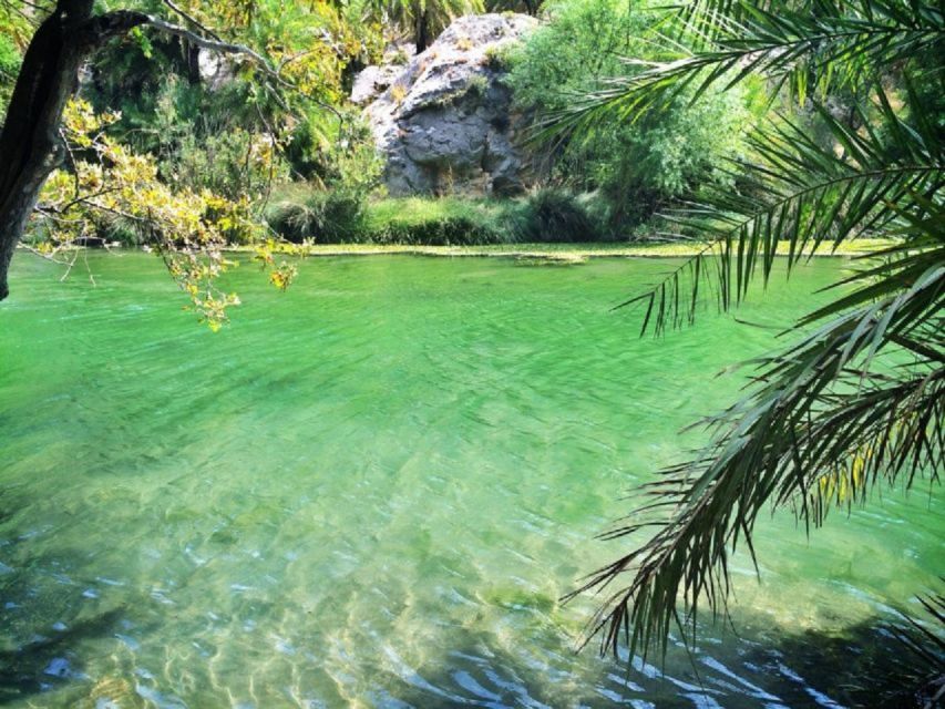 From Chania: Day Trip to Preveli Palm Beach - Who will enjoy this day most