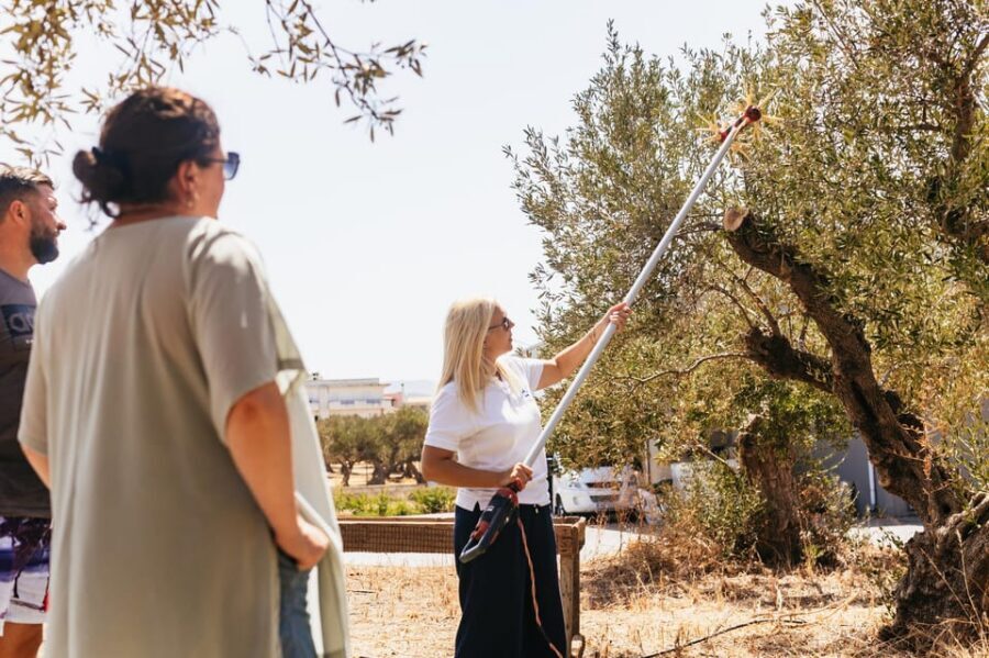 From Chania: Elafonisi and Falasarna Guided Tour with Snacks - What you should watch out for