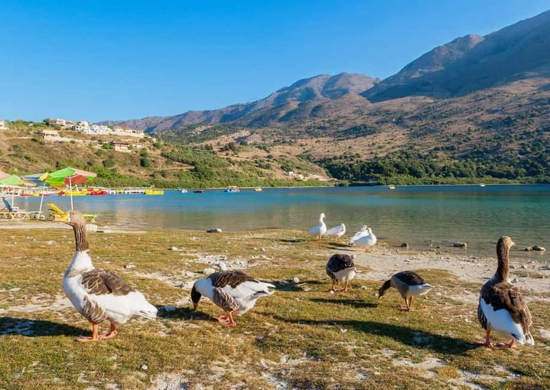 From Chania: Lake Kournas & Argiroupoli Springs Guided Tour - Why This Chania Day Trip Works