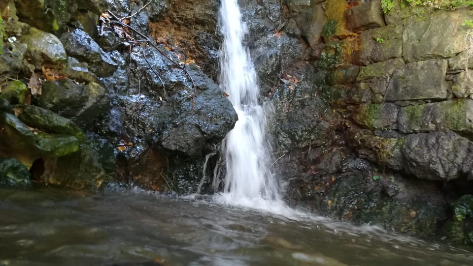 From Chania: Lake Kournas & Argiroupoli Springs Guided Tour - Who Will Enjoy This Experience Most