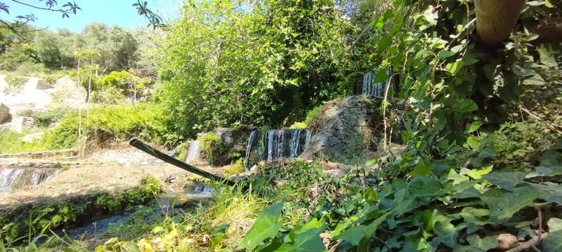 From Chania: Lake Kournas & Argiroupoli Springs Guided Tour - Should You Book the Lake and Springs Tour?