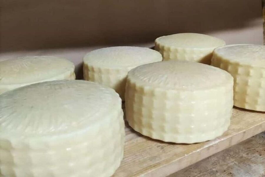 From Chania: Olive Oil, Wine, Cheese & Honey Tasting Tour - Key highlights worth planning for