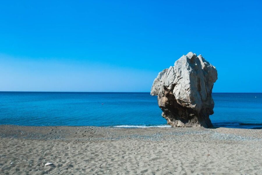 From Chania: Preveli Palm Beach Day Tour - The palm forest walk: Theophrastus palms and the marked path rule
