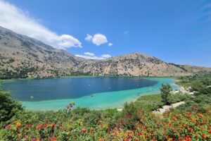 From Chania Private half day Winery-Olive factory-Kournas lake - The Private Ride: Comfort, Timing, and Getting Out of Parking Hell