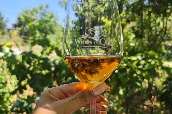 From Chania Private half day Winery-Olive factory-Kournas lake - Your Guide: Angie or Matt, and Why Local Host Energy Matters Here