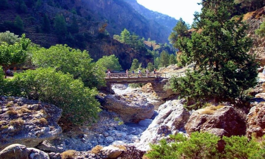 From Chania/Rethymno: Samaria Gorge Easy Way - Omalos Stop: Short Break, Real Reset