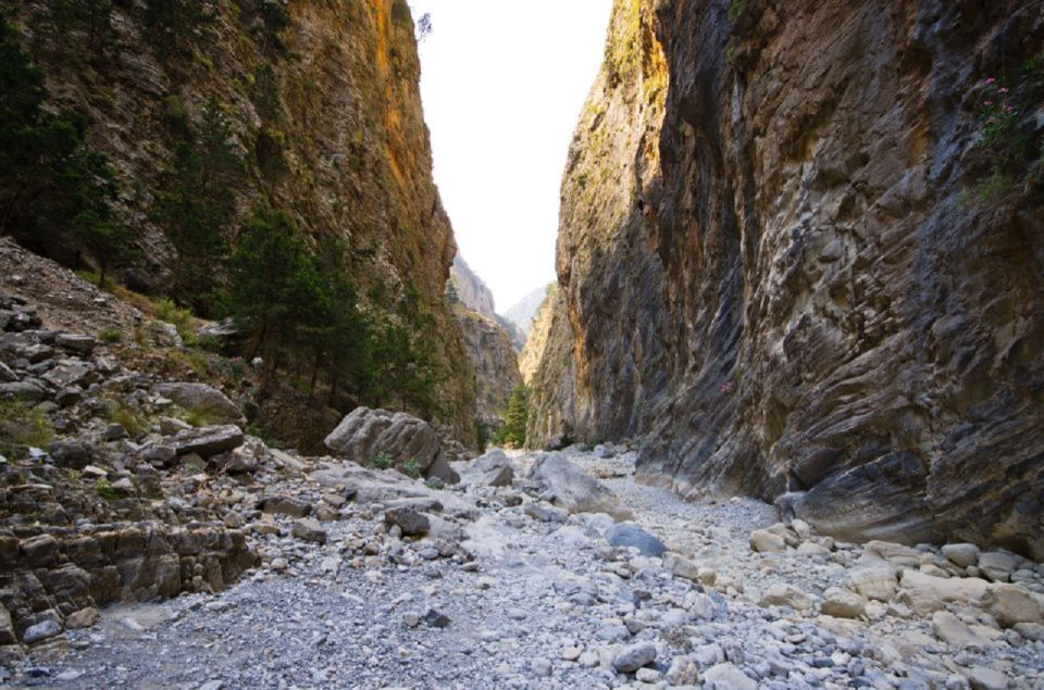 From Chania: Samariá Gorge Guided Hike - The Iron Gates and the best views