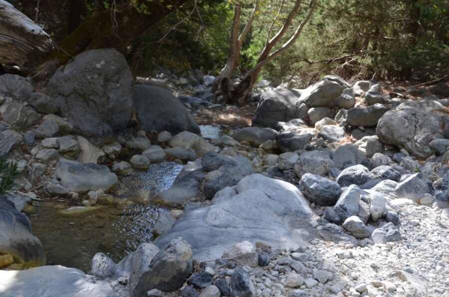 From Chania: Samaria Gorge Hike with Local Mountain Guide - Who This Tour Suits (and Who Should Think Twice)