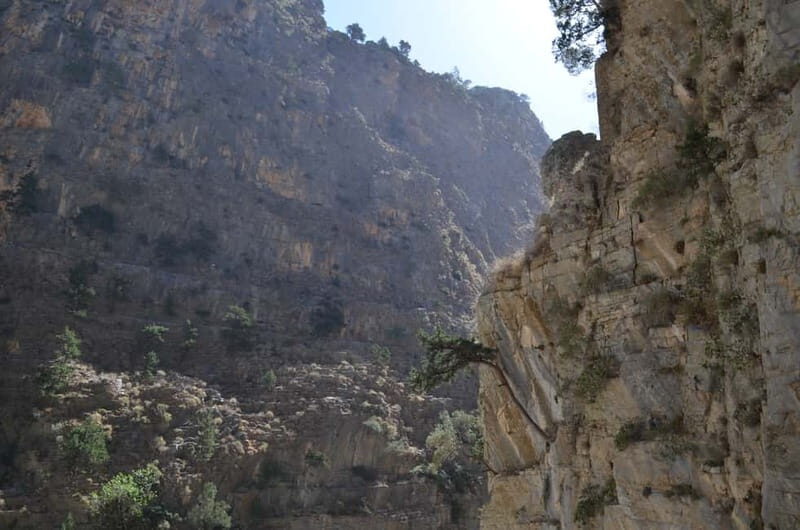 From Chania: Samaria Gorge Hike with Local Mountain Guide - Why Samaria Gorge Feels Different Than Other Crete Hikes