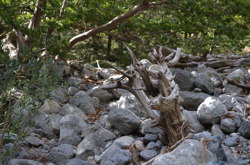 From Chania: Samaria Gorge Hike with Local Mountain Guide - The Samaria Gorge Walk: Long, Mostly Straightforward, and Very Real