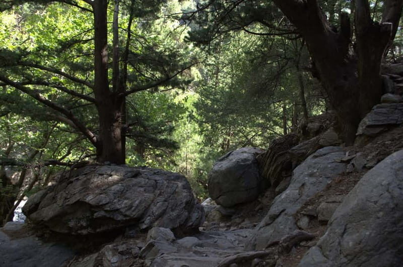 From Chania: Samaria Gorge Hike with Local Mountain Guide - Going at Your Own Pace With Pari (and Other Guides)