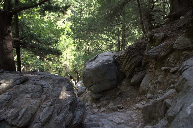 From Chania: Samaria Gorge Hike with Local Mountain Guide - Water, Toilets, and Food: The Stuff That Makes or Breaks the Day