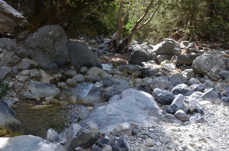 From Chania: Samaria Gorge Hike with Local Mountain Guide - Agia Roumeli Exit: Swim Time and Lunch in a Real Small Village
