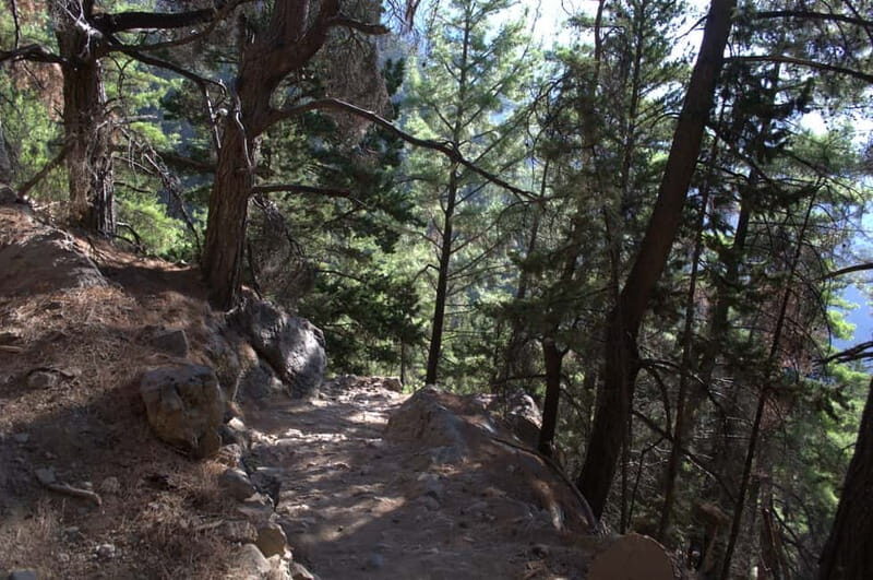 From Chania: Samaria Gorge Hike with Local Mountain Guide - Price and What You’re Really Paying For