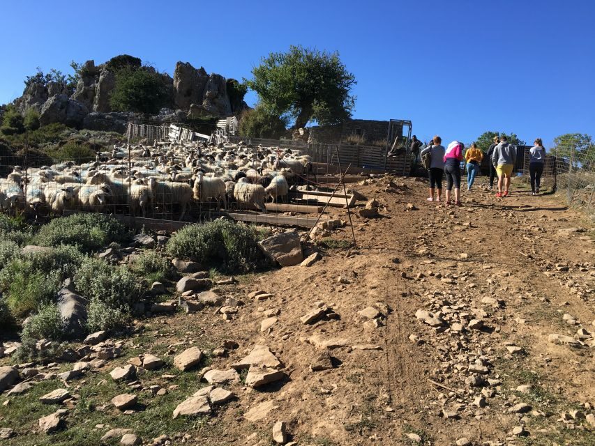 From Chania: White Mountains Land Rover Safari - What to bring (and what to skip) for a smoother mountain day