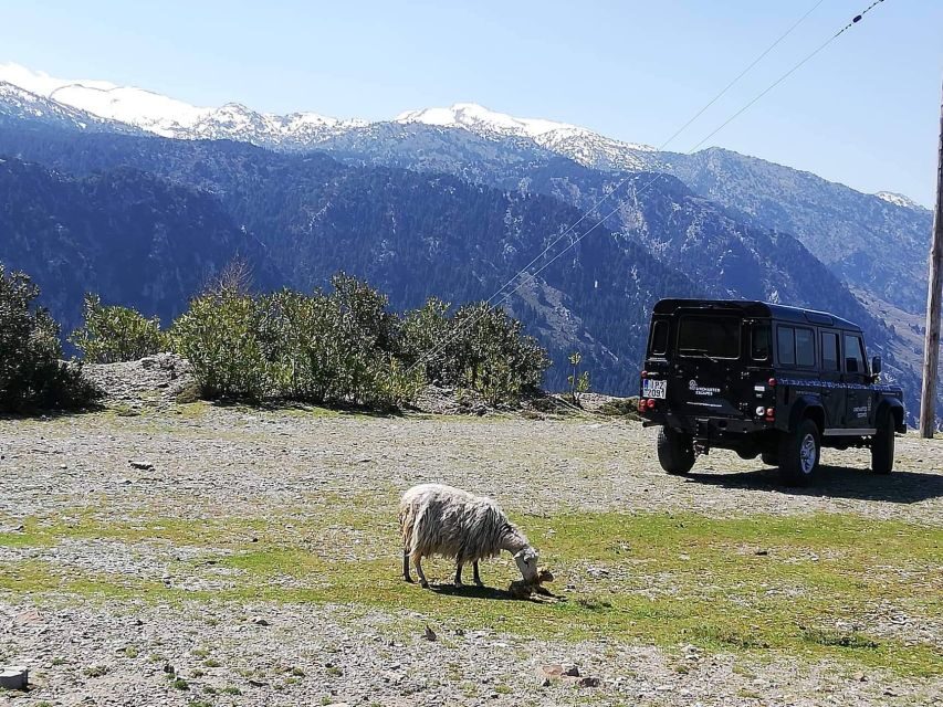 From Chania: White Mountains Land Rover Safari - Pickup zones, small-group size, and the reality of the ride