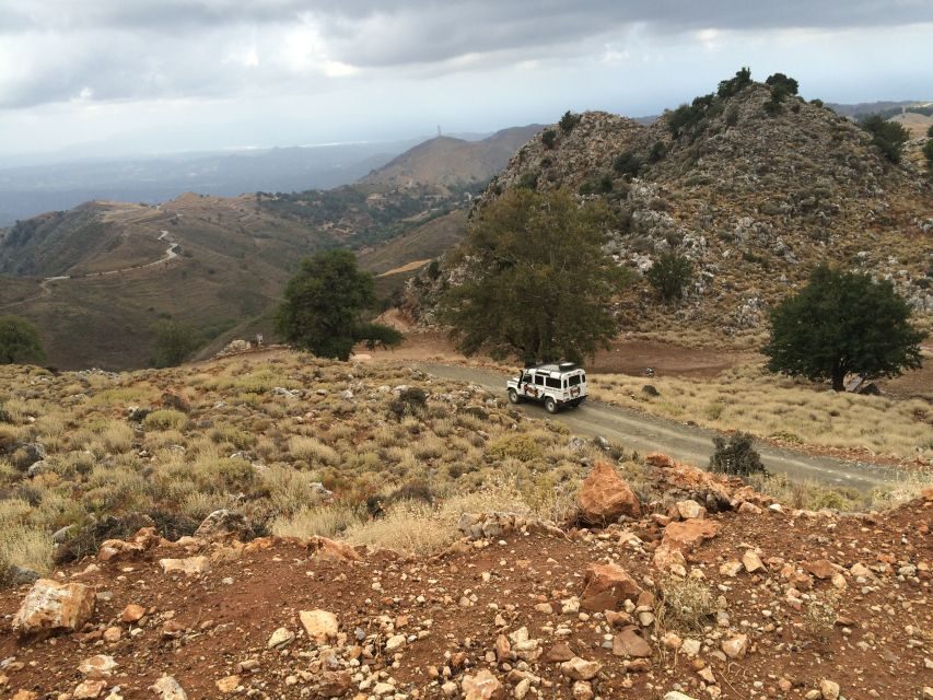From Chania: White Mountains Land Rover Safari - Wildlife spotting: eagles and wild goats, with real patience