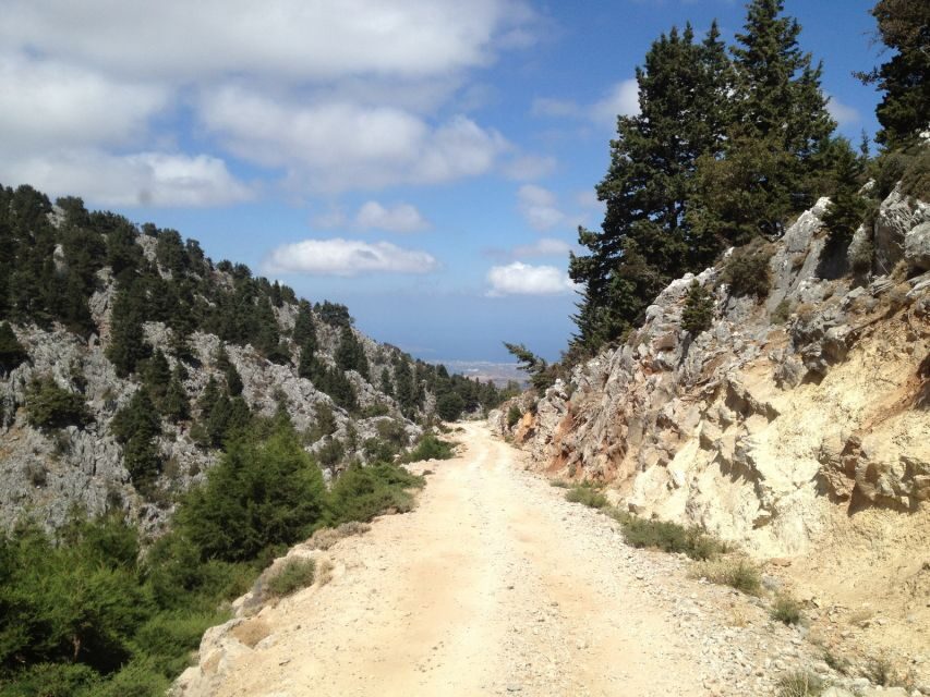 From Chania: White Mountains Land Rover Safari - Price and comfort: who will feel it as a great deal?